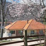 VEĆI BROJ TURISTA U MARTU I APRILU