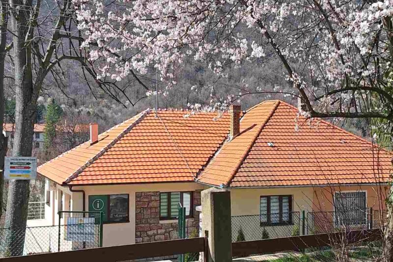 Read more about the article VEĆI BROJ TURISTA U MARTU I APRILU
