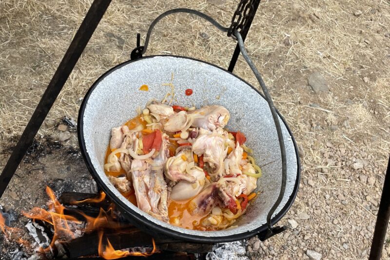 Read more about the article Gastro manifestacija „Pilićijada“ Mali Izvor
