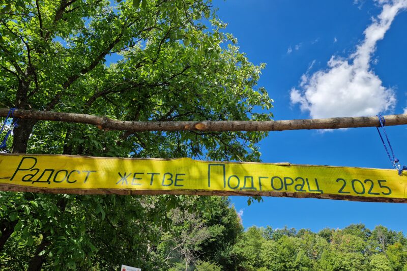 Read more about the article „RADOST ŽETVE“ U PODGORCU