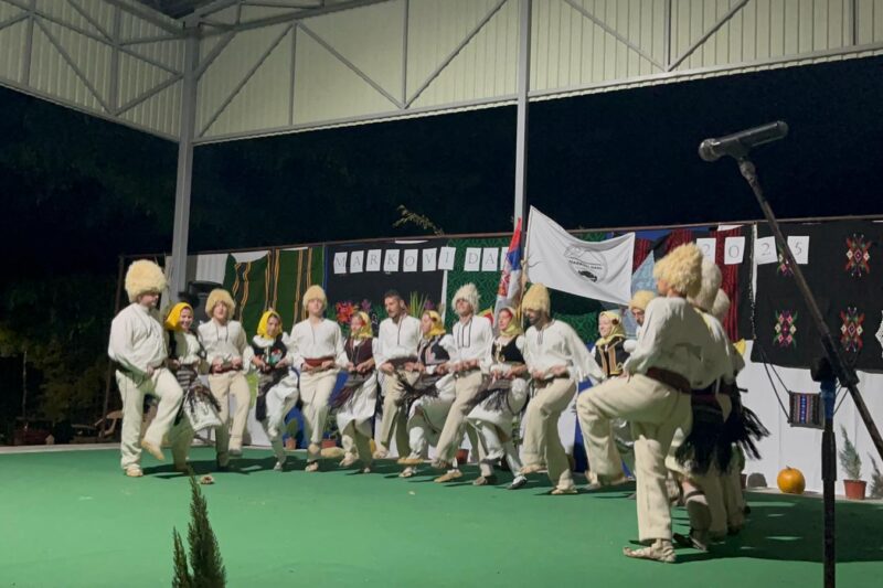 Read more about the article MARKOVI DANI U VALAKONJU BUKOVO