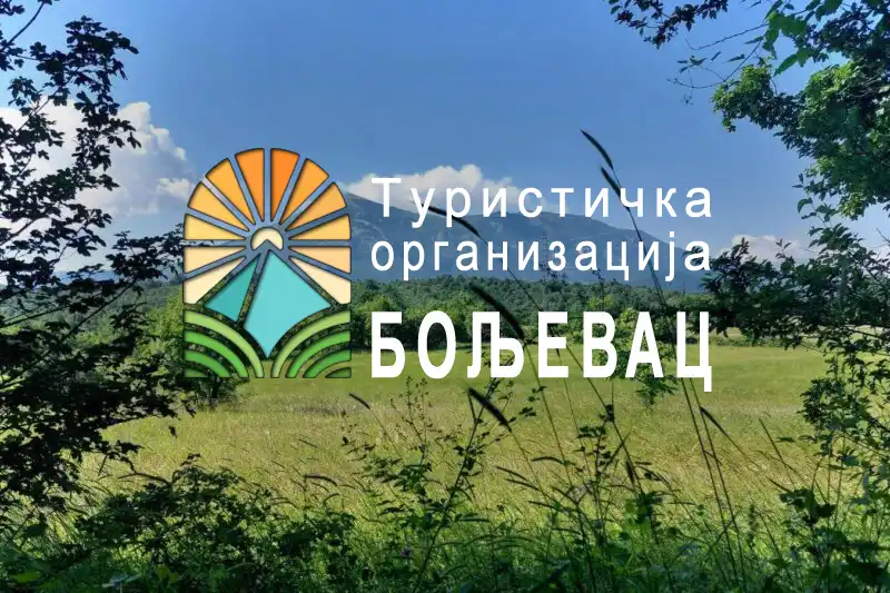 Javni konkurs za izbor direktora TOO Boljevac