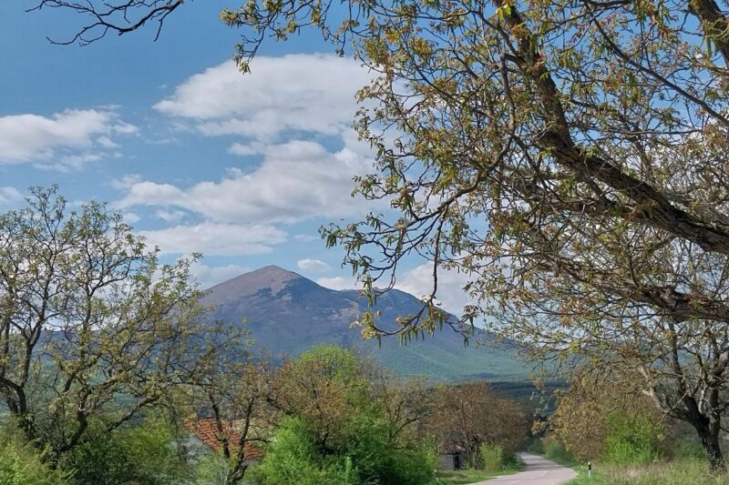 SVE VIŠE TURISTA POSEĆUJE BOLJEVAC 
